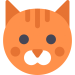 cat cat