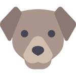 dog dog