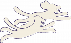 WOAH Cat & Dog Running WOAH Cat & Dog Running