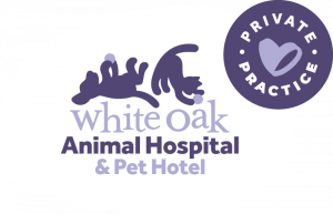 White Oak Animal Hospital