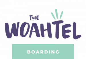 THE WOAHTEL Boarding White Oak Animal Hospital - THE WOAHTEL Boarding